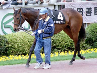 2002/02/09 東京09R