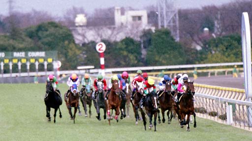2002/02/09 東京09R