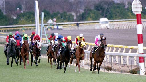 2002/02/09 東京09R