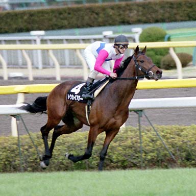 2002/02/09 東京09R
