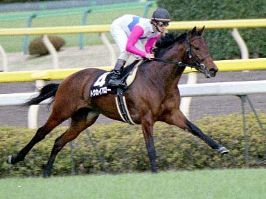 2002/02/09 東京09R