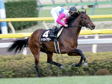 2002/02/09 東京09R