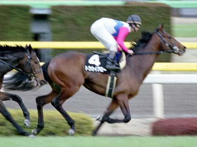 2002/02/09 東京09R