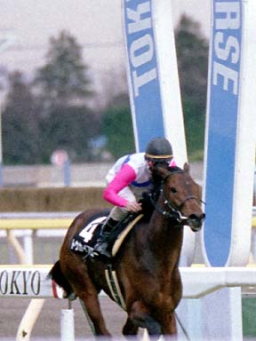 2002/02/09 東京09R