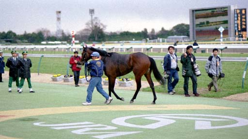 2002/02/09 東京09R