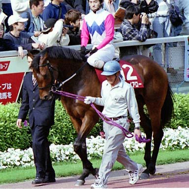 2002/04/27 東京11R