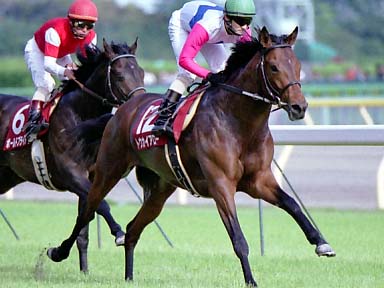 2002/04/27 東京11R