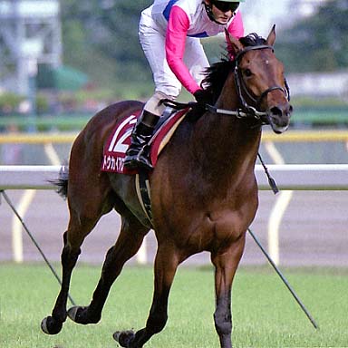2002/04/27 東京11R