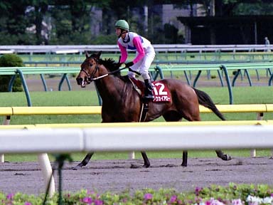 2002/04/27 東京11R