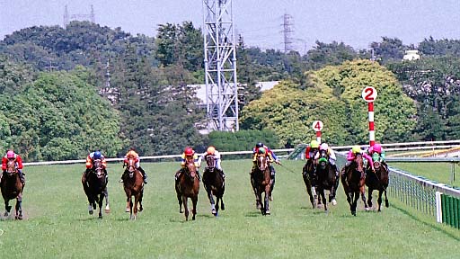 2002/05/26 東京07R