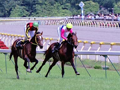 2002/05/26 東京07R