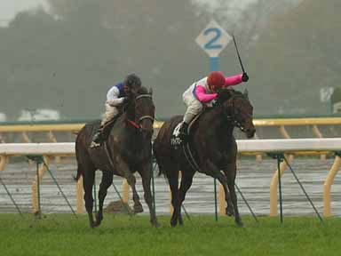 2003/11/29 東京10R