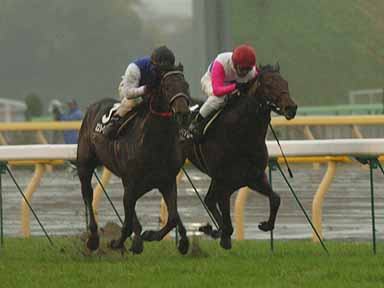 2003/11/29 東京10R