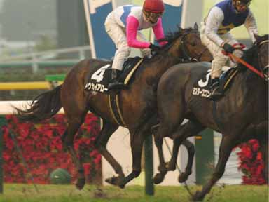 2003/11/29 東京10R