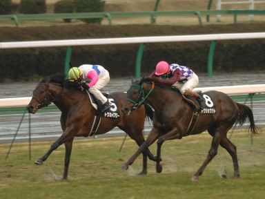 2005/01/16 中山10R