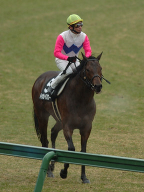 2005/01/16 中山10R