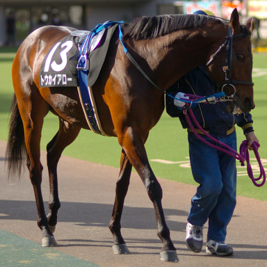 2005/02/06 東京10R