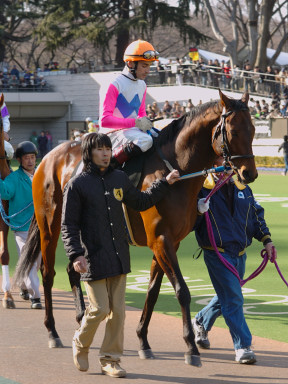 2005/02/06 東京10R