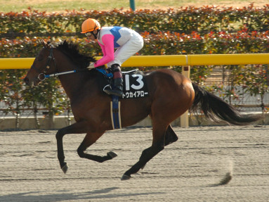2005/02/06 東京10R