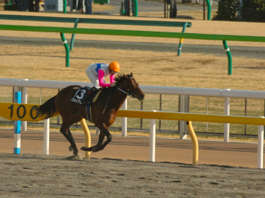 2005/02/06 東京10R