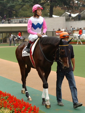 2005/11/06 東京04R
