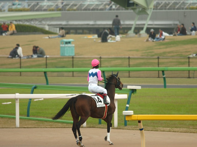 2005/11/06 東京04R