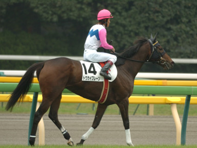 2005/11/06 東京04R
