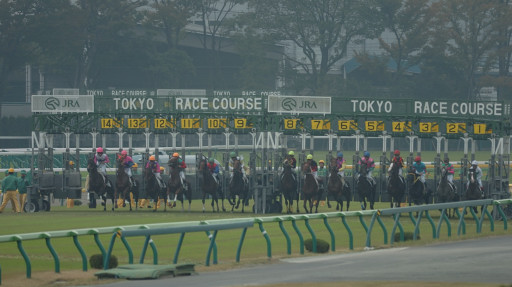2005/11/06 東京04R