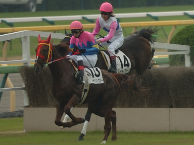 2005/11/06 東京04R