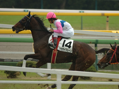 2005/11/06 東京04R