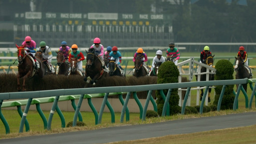 2005/11/06 東京04R