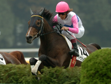 2005/11/06 東京04R