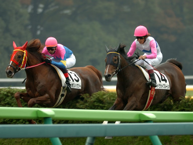 2005/11/06 東京04R