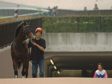 2005/11/06 東京04R