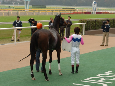 2005/11/06 東京04R