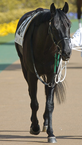 2004/02/14 東京08R