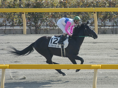2004/02/14 東京08R