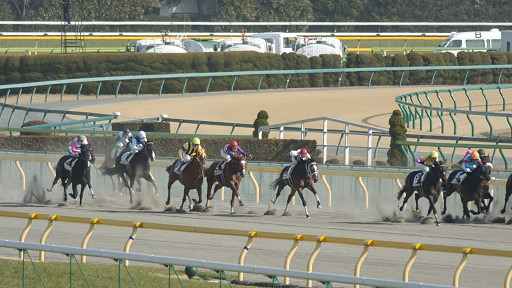 2004/02/14 東京08R
