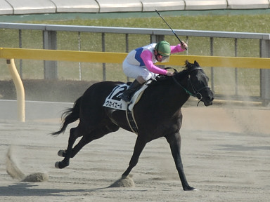 2004/02/14 東京08R