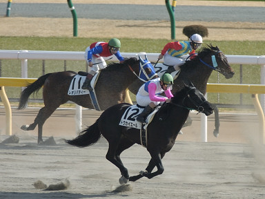2004/02/14 東京08R