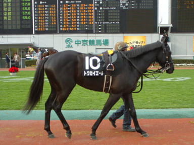 2004/12/12 中京10R