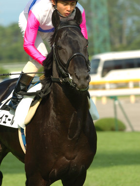 2005/07/24 新潟12R