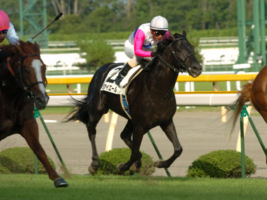 2005/07/24 新潟12R
