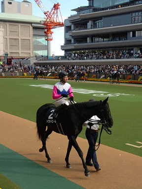 2005/11/12 東京09R