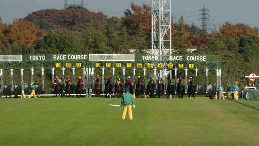 2005/11/12 東京09R