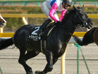 2005/11/12 東京09R