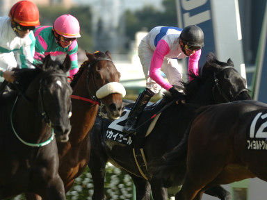 2005/11/12 東京09R