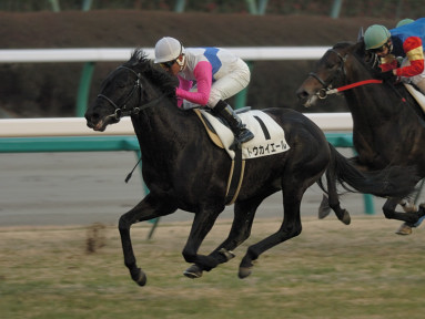 2006/01/09 中山12R
