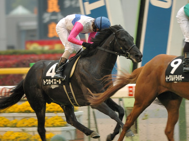 2006/04/23 東京10R