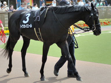 2006/05/06 東京10R